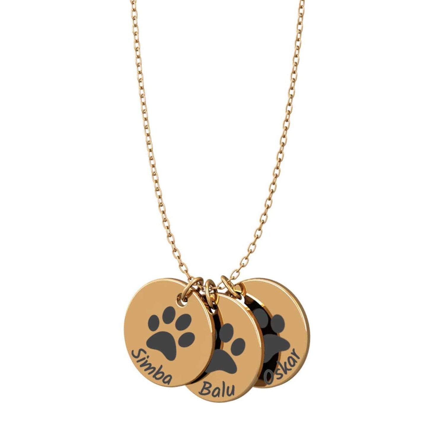 Kette-mit-Haustiernamen--gold-vorne