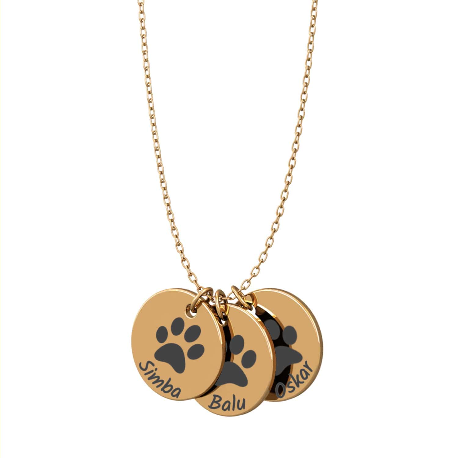Kette-mit-Haustiernamen--gold-vorne